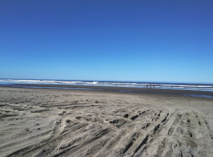 Ocean City State Park, Washington, USA